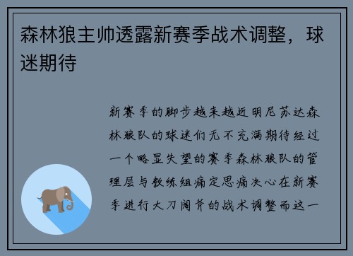 森林狼主帅透露新赛季战术调整，球迷期待